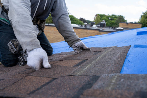 Best Gutter Installation and Repair  in Summerville, GA